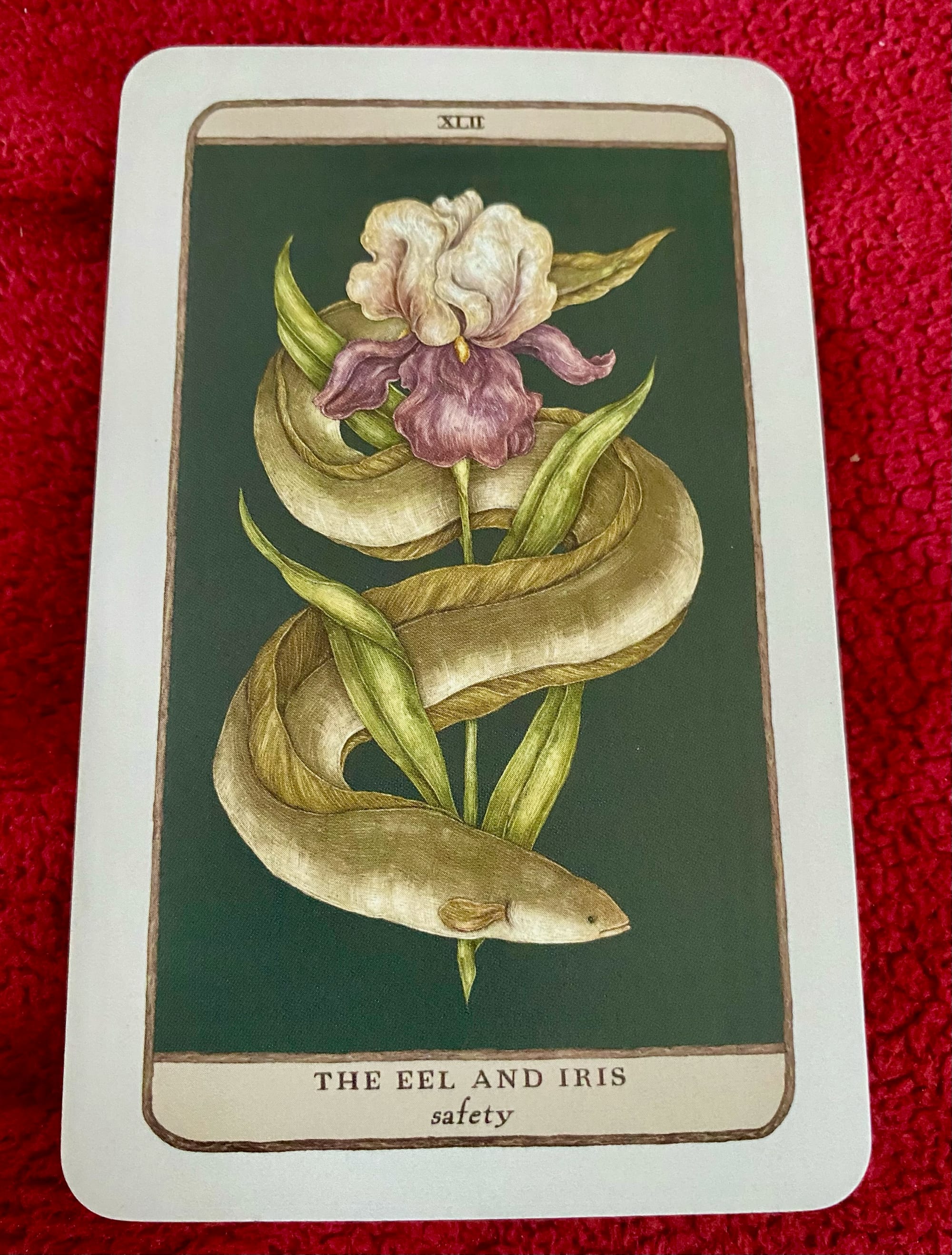 The Eel, the Iris and the no good, very unwelcome Unicorn who is incapable of reading the room.