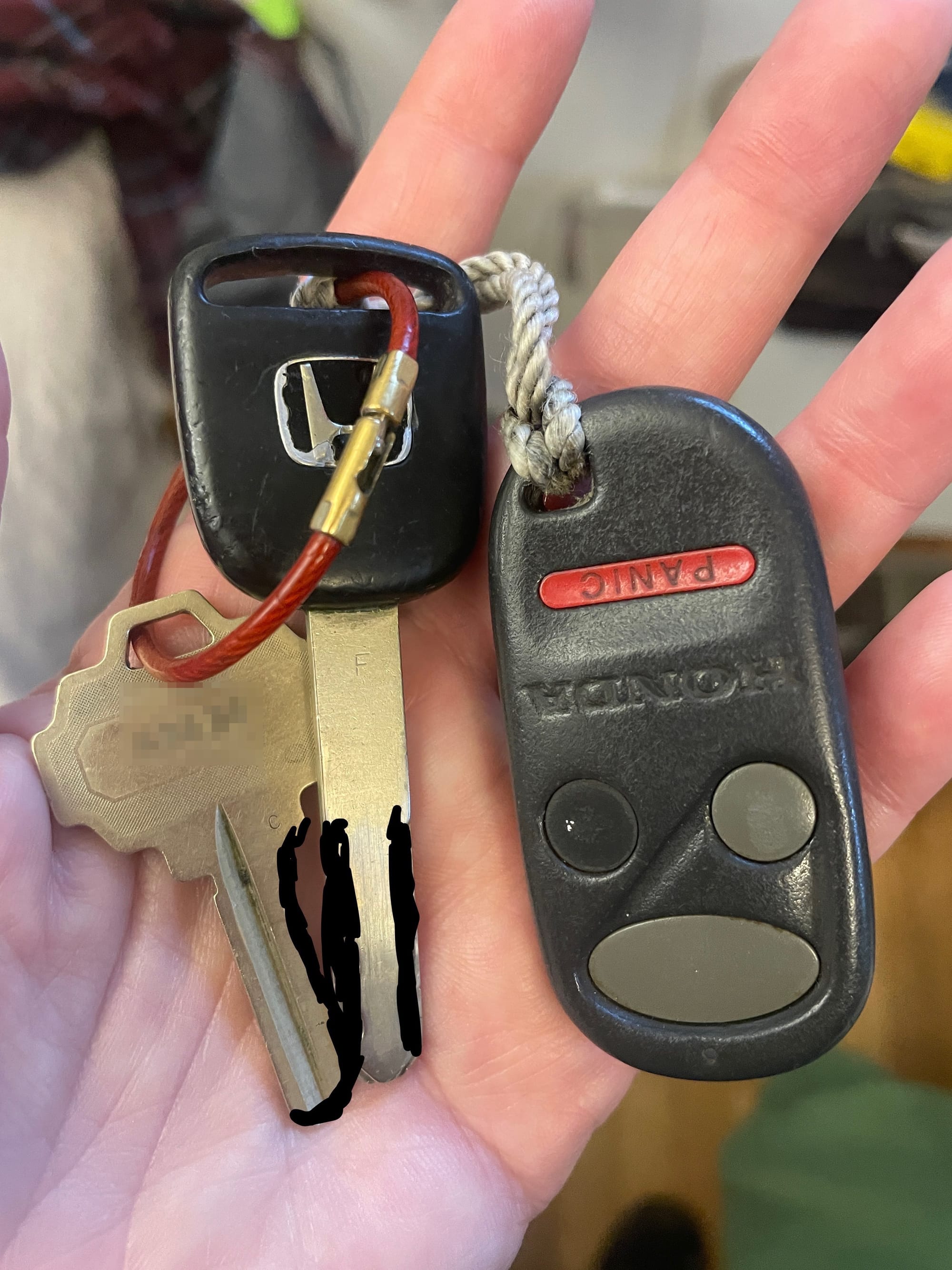 Another tiny miracle